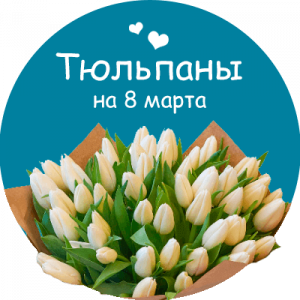 Купить тюльпаны в Зернограде